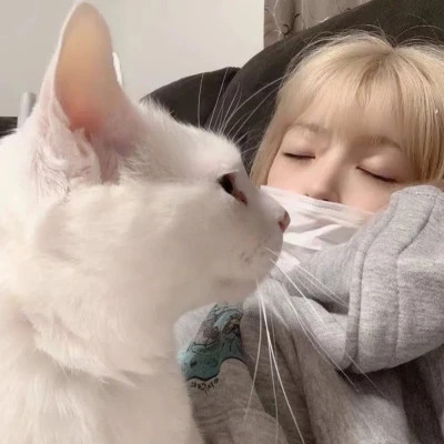 2025最新抱猫女头像好看图片