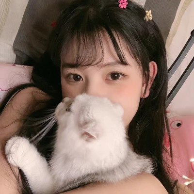 2025最新抱猫女头像好看图片