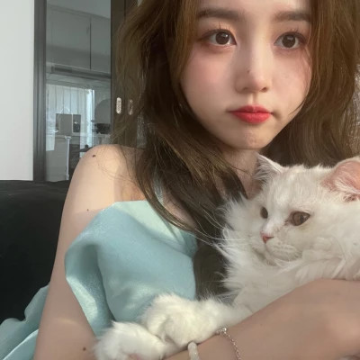 2025最新抱猫女头像好看图片