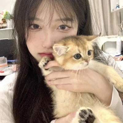 2025最新抱猫女头像好看图片