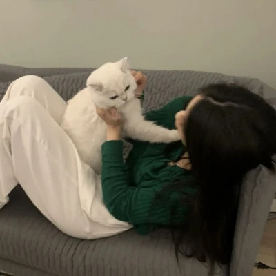 2025最新抱猫女头像好看图片