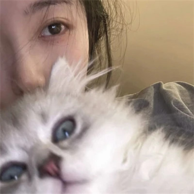 2025最新抱猫女头像好看图片