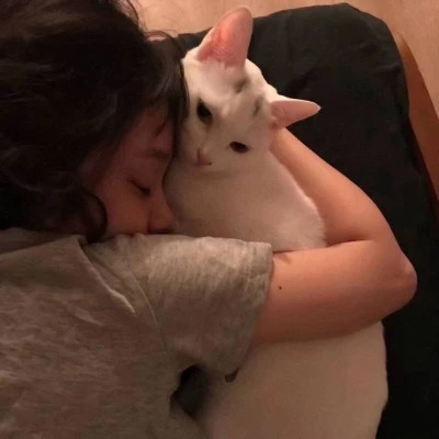 2025最新抱猫女头像好看图片