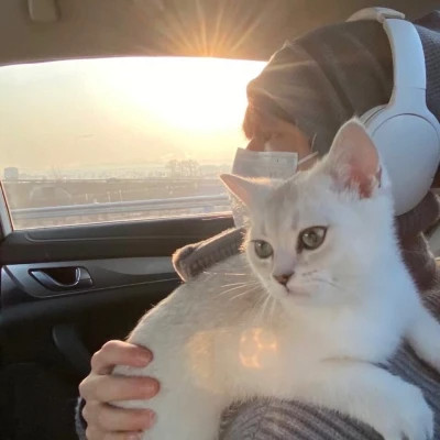 2025最新抱猫男生头像高清图片 