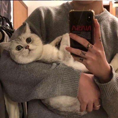 2025最新抱猫男生头像高清图片 