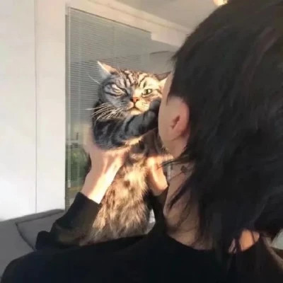 2025最新抱猫男生头像高清图片 