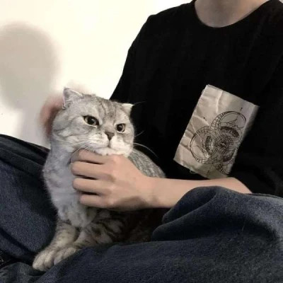 2025最新抱猫男生头像高清图片 