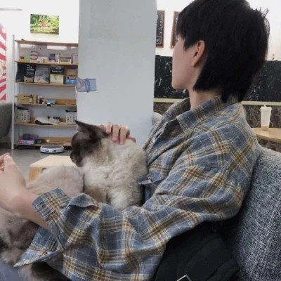 2025最新抱猫男生头像高清图片 