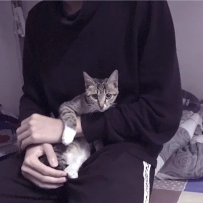 2025最新抱猫男生头像高清图片 