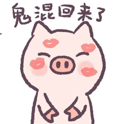 表情包头像可爱小猪猪图片