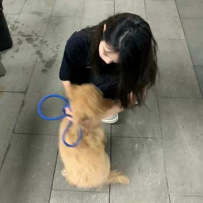 WeChat风格女头