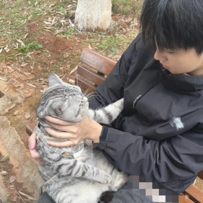 2025最新版帅气微信男生头像