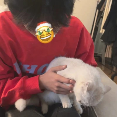 2025最新最好最潮男生头像