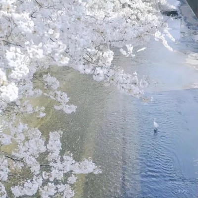 氛围感拉满的特别好看风景头像