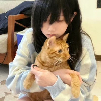 高质量风格女头ins