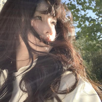 高质量风格女头ins