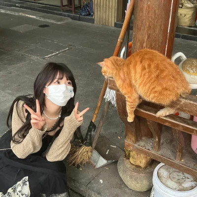 高质量风格女头ins