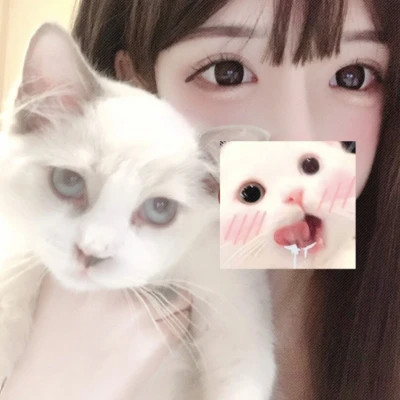 高质量干净女头