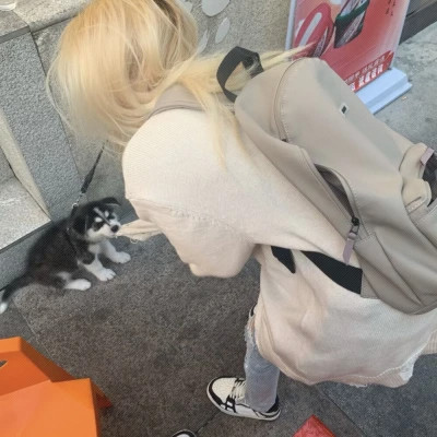 高质量干净女头