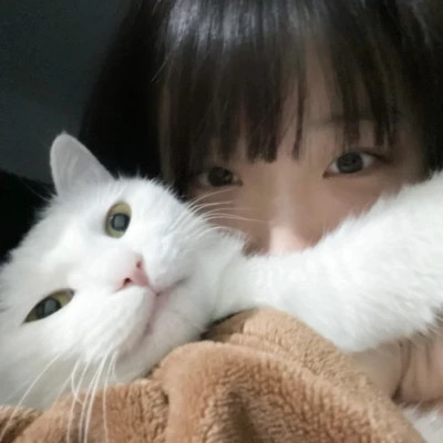 超高质量的小众女头
