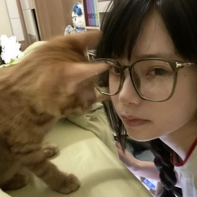 超高质量的小众女头