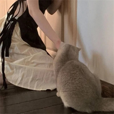 优质小众女生头像