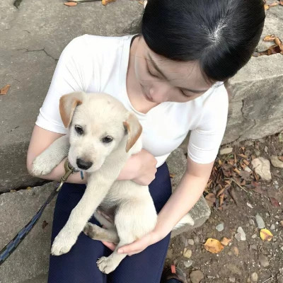 2025全新个性漂亮女生头像