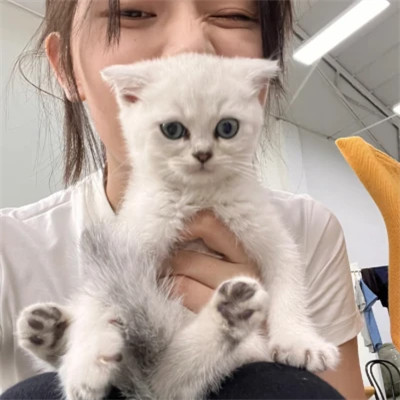 2025最火真人女生头像气质美女