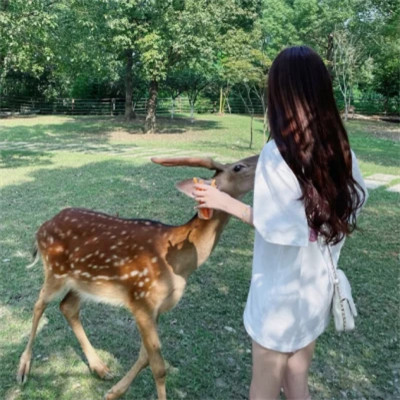 2025女生头像高级全新真人