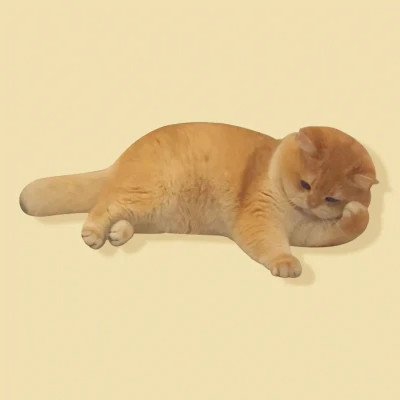 2025可爱好看的头像猫咪图片