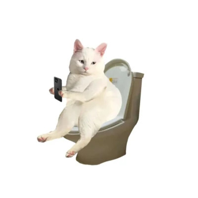 盘点那些超可爱的猫咪头像