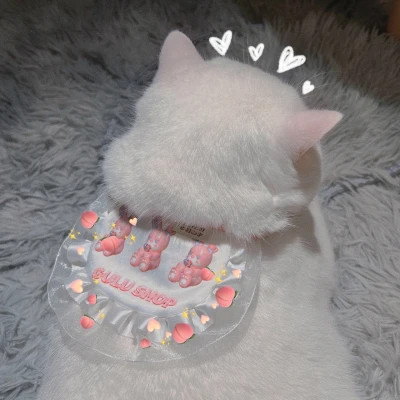 盘点那些超可爱的猫咪头像