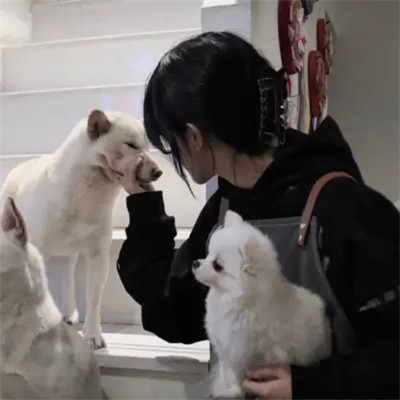 2025高清个性女生头像