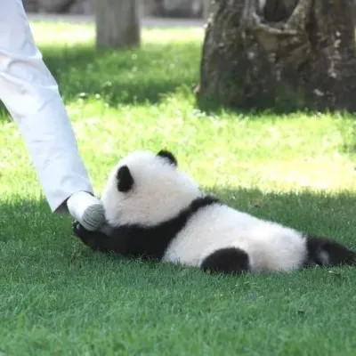幽默搞笑吸引人的头像