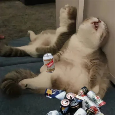 幽默搞笑吸引人的头像