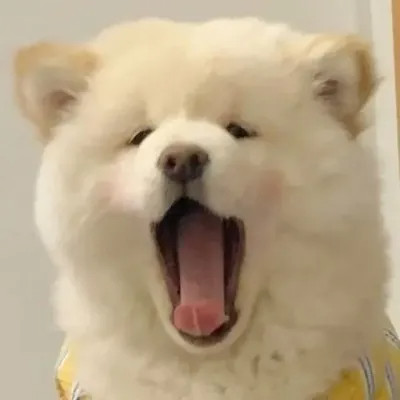 搞笑的微信头像图片