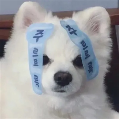 搞笑的微信头像图片