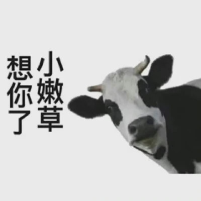 搞笑的微信头像图片