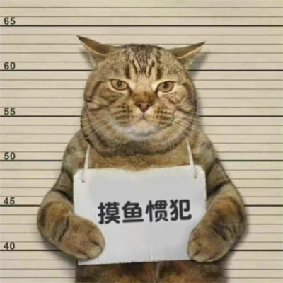头像图片2025搞笑