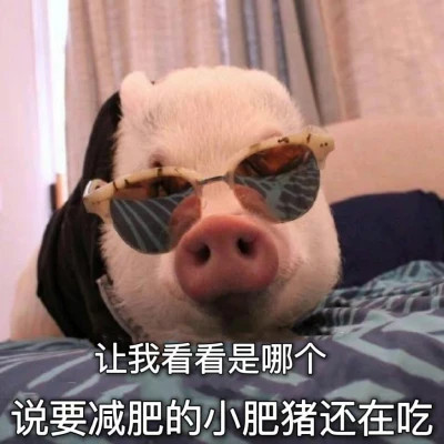 头像图片2025搞笑