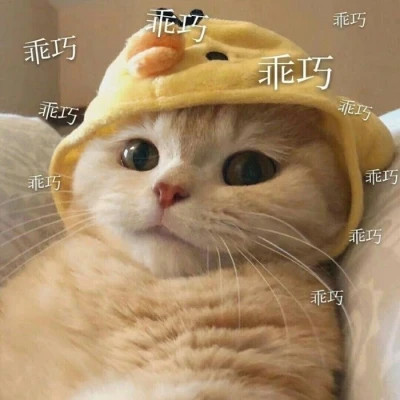 2025很火的搞怪头像