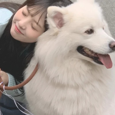 情头一半主人一半宠物