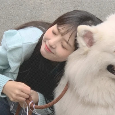 情头一半主人一半宠物