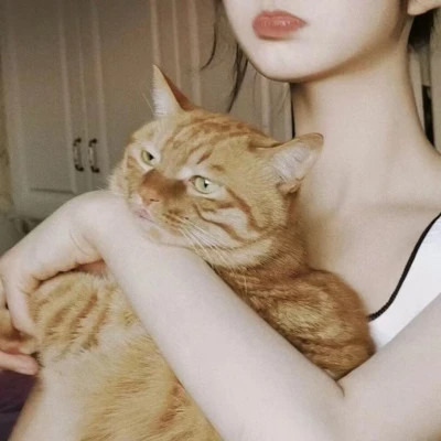 情头一半主人一半宠物