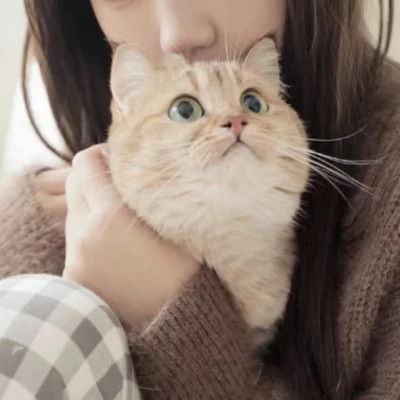 情头一半主人一半宠物