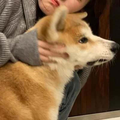 女孩和狗情头一左一右