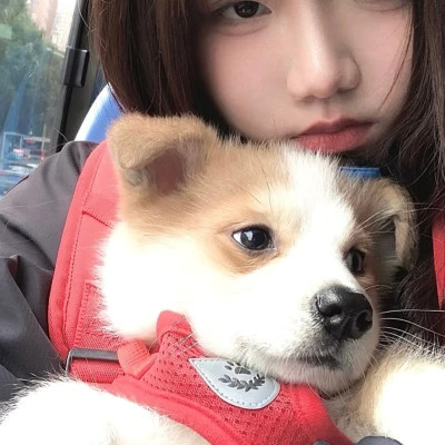 女孩和狗情头一左一右