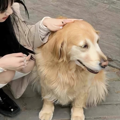 女孩和狗情头一左一右
