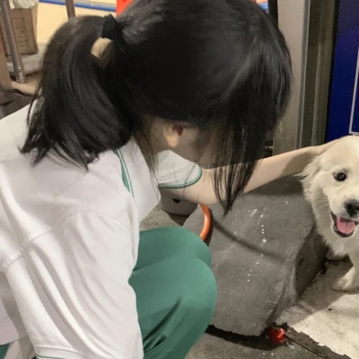 女孩和狗情头一左一右