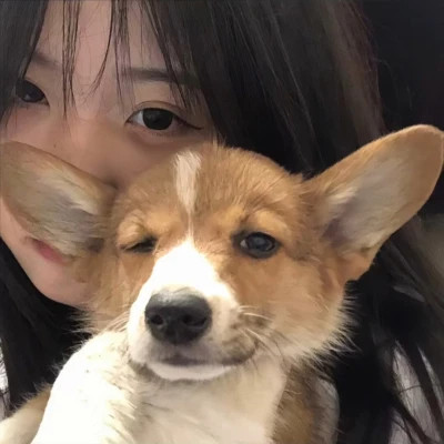 女孩和狗情头一左一右